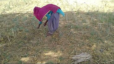 Desi Indian Boyfren Lagi Sibuk Kerja Di Ladang, Tiba-tiba Ngentot Istrinya Yang Lagi Asyik